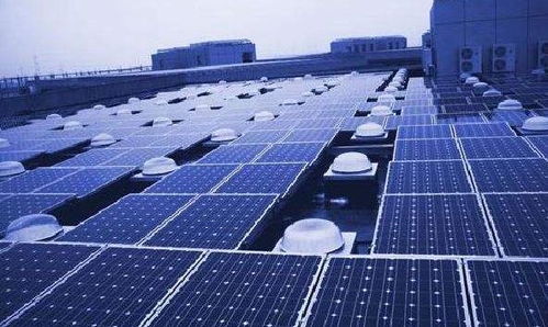 小厂大世界 浙江柳市企业的全球化网络服务征程