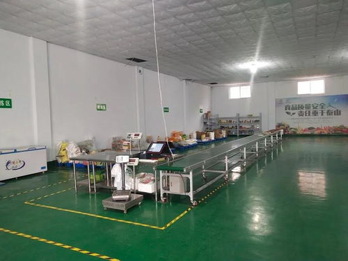 互联网技术为河南新乡“菜篮子”工程注入新动能